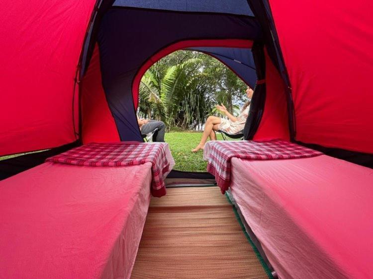 Campingplatz Coco Bamboo Camp
