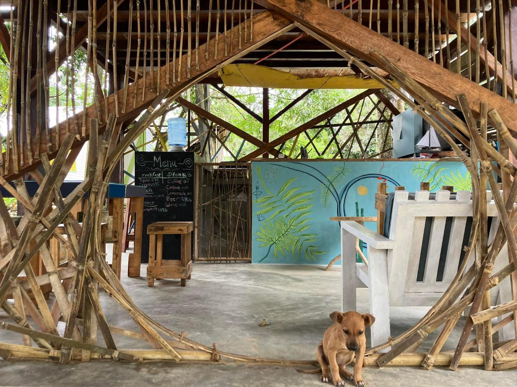 Coco Bamboo Camp * Lívingston