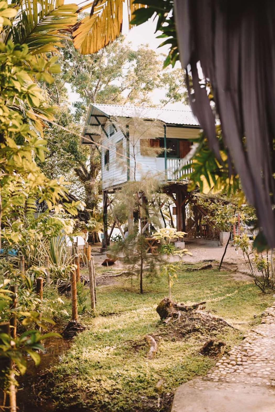 Campsite Coco Bamboo Camp *