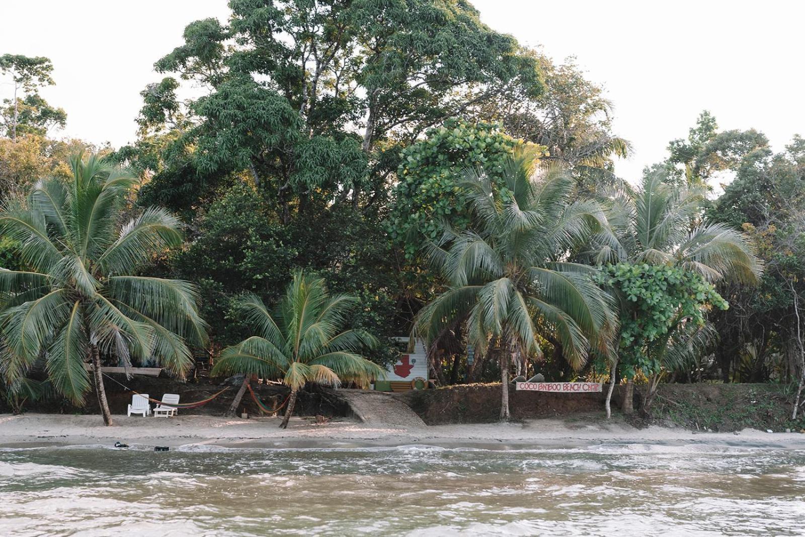 Campsite Coco Bamboo Camp